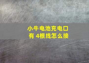 小牛电池充电口有 4根线怎么接